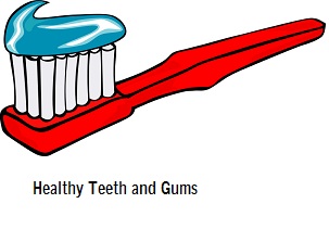 Healthy Teeth and Gums