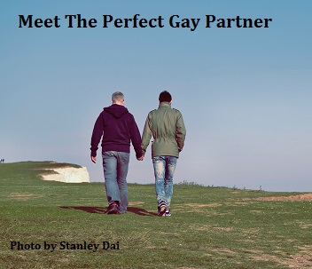 Find Your Perfect Gay Partner