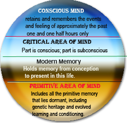Theory Of The Mind