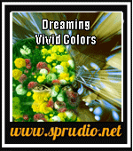 Dreaming Vivid Colors