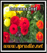 Overcome Grief / Loss 