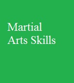 Martial Arts Skills