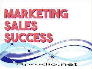 Marketing / Sales Success